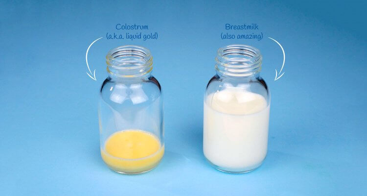 You are currently viewing Can You Give Colostrum to Older Babies