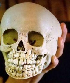 You are currently viewing Are Babies Born With All Their Teeth in Their Skull