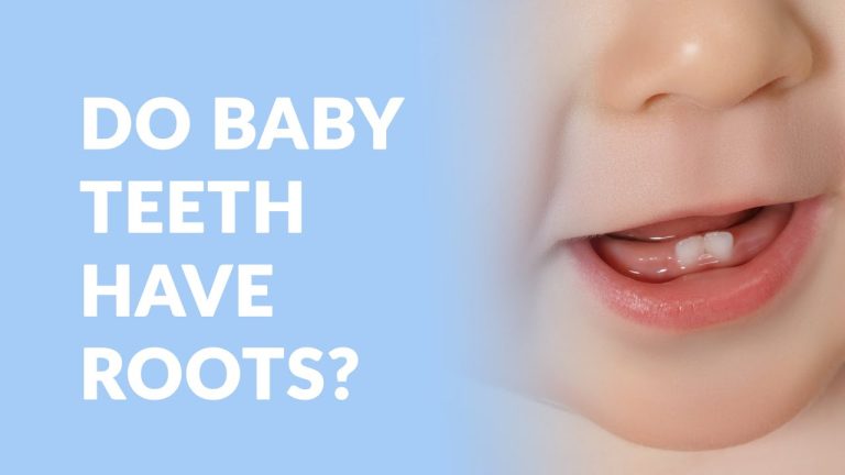 Do Baby Teeth Have Roots: The Surprising Things