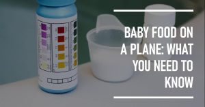 Read more about the article Can You Bring Baby Food on a Plane: Know The Ways
