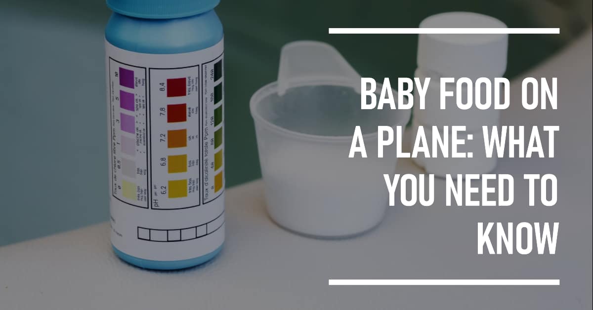 You are currently viewing Can You Bring Baby Food on a Plane: Know The Ways