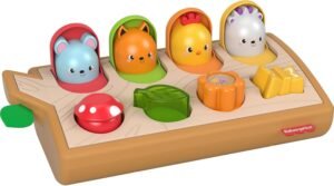 Read more about the article Playful Creatures: Discovering Fun with Fisher-Price’s Hide & Peek Sensory Toy!