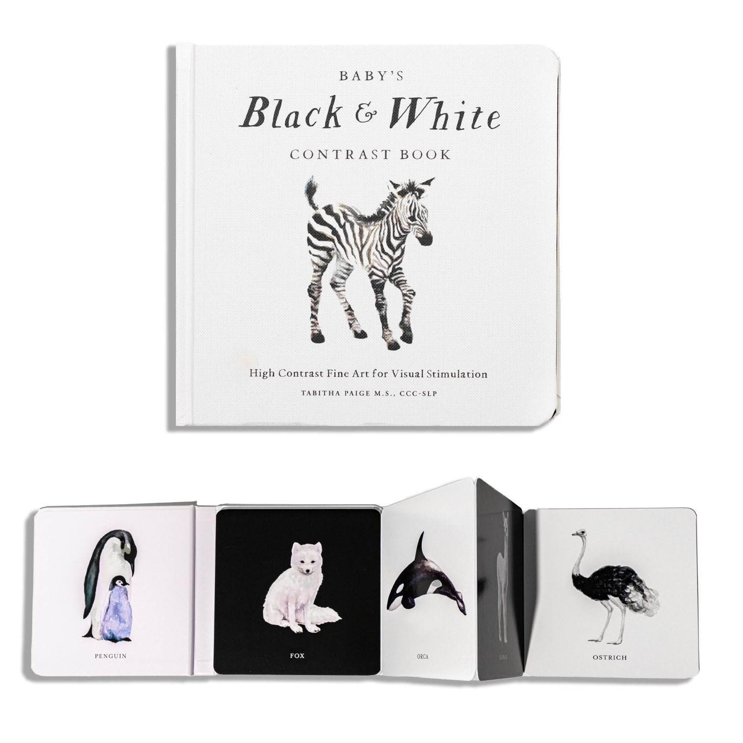 Read more about the article Adorable Adventures in High-Contrast: A Review of Baby’s Black and White Contrast Book