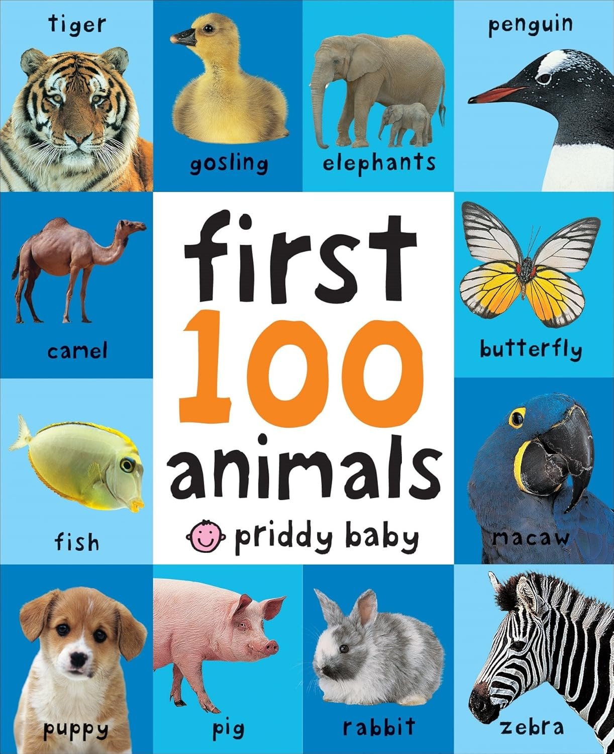 Read more about the article A Delightful Journey Through the First 100 Animals