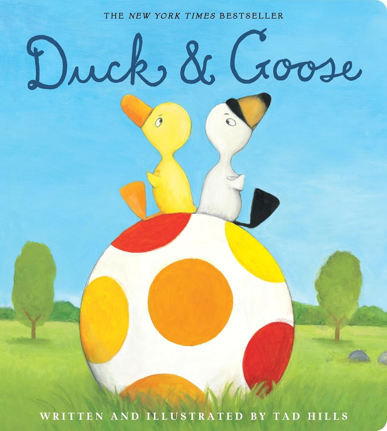 You are currently viewing A Quacking Delight: Exploring the Adventures of Duck & Goose