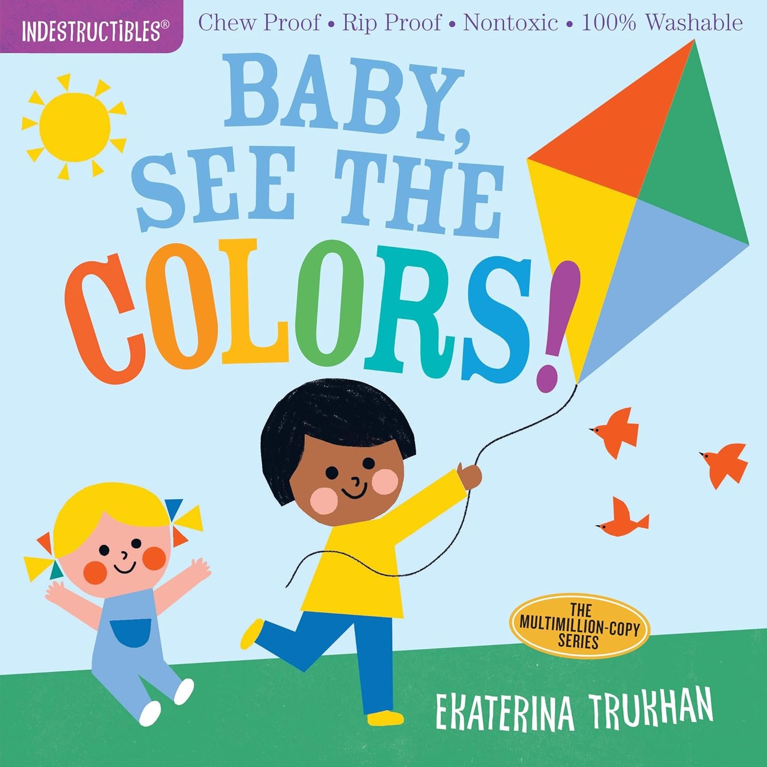 Read more about the article Colorful Adventures: A Review of Indestructibles Baby Books!