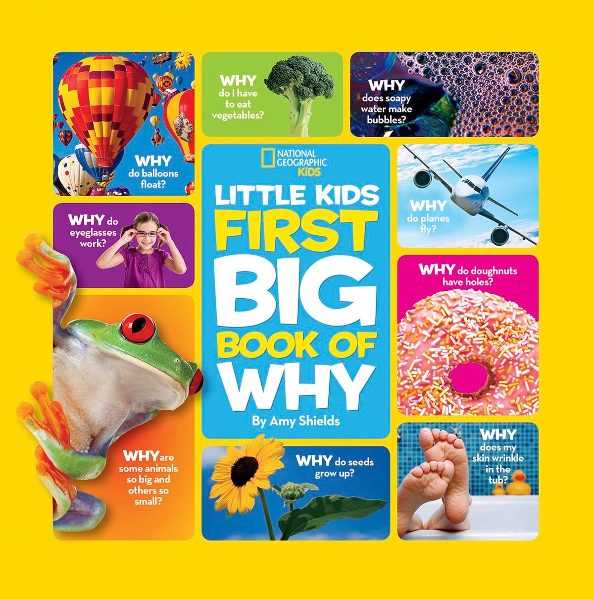 Read more about the article Curiosity Unleashed: Discovering the Wonders of “National Geographic Little Kids First Big Book of Why”