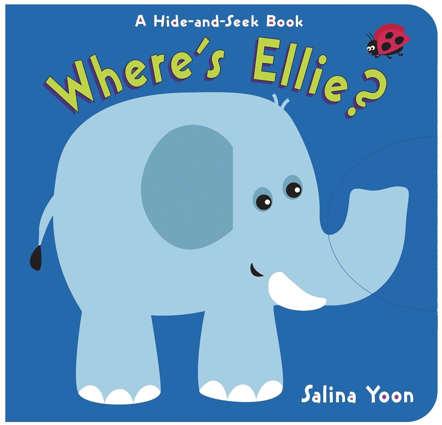 Read more about the article Hide and Seek Adventures: Uncovering Ellie’s Hidden Fun!