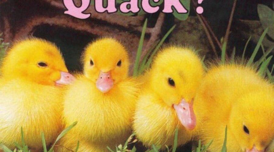 Quacking Up: A Delightful Dive into "Who Says Quack?"