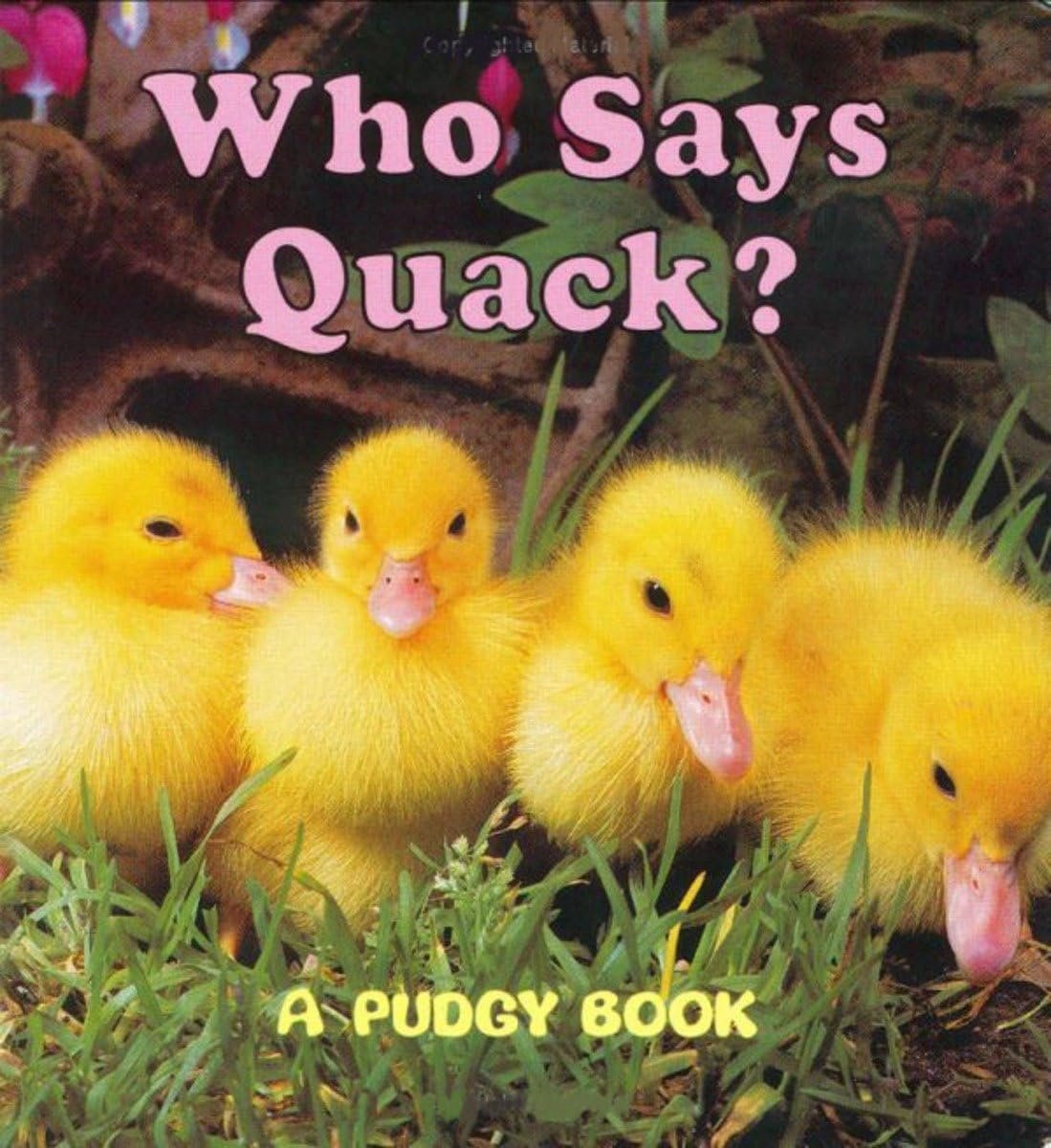 Read more about the article Quacking Up: A Delightful Dive into “Who Says Quack?”