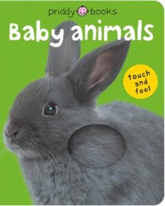 Read more about the article Snuggle Up with Cuddly Critters: A Review of Bright Baby Touch & Feel Baby Animals