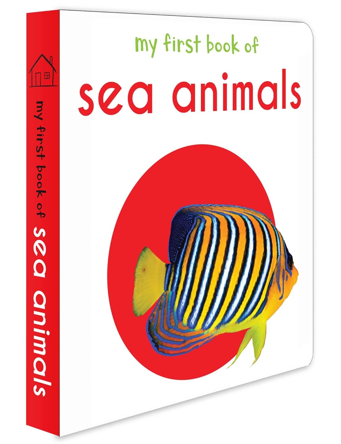 Read more about the article Splashing into the Sea: A Review of My First Book of Sea Animals