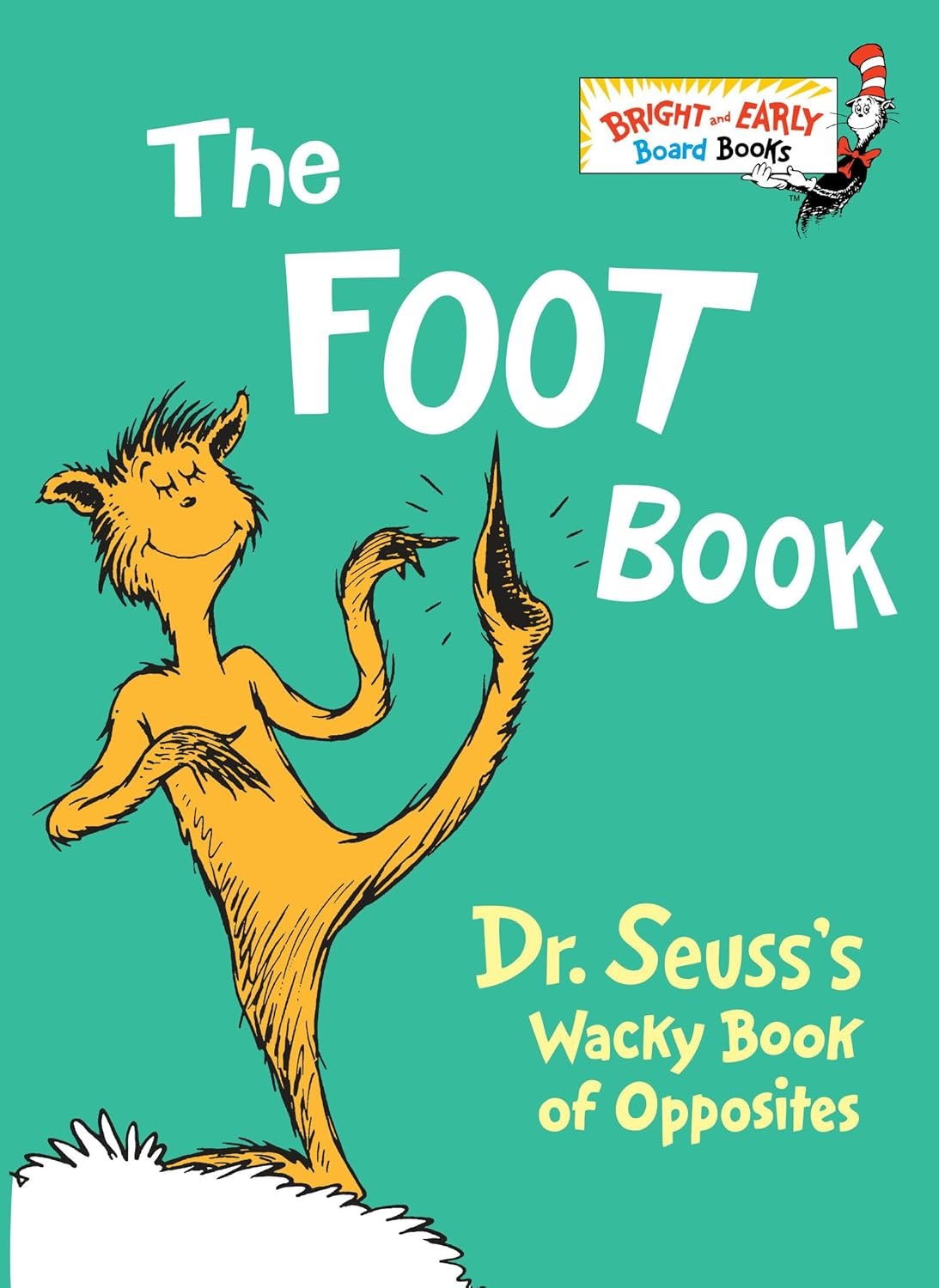 Read more about the article Stepping into Seuss: A Whimsical Review of The Foot Book