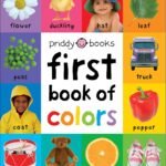 A Colorful Adventure: Discovering the Joys of Learning with First 100 Padded Books