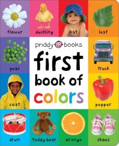 Read more about the article A Colorful Adventure: Discovering the Joys of Learning with First 100 Padded Books
