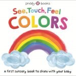 A Colorful Journey: Exploring “See, Touch, Feel: Colors”