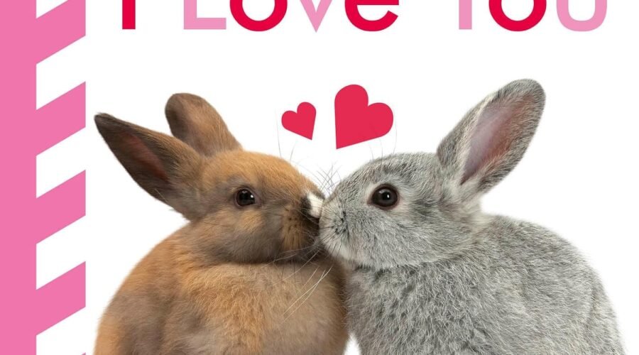 A Heartfelt Journey: Exploring Baby Touch and Feel I Love You