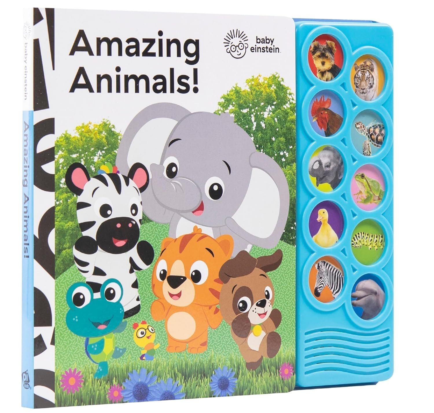 You are currently viewing Adorable Adventures: A Review of Baby Einstein’s Amazing Animals Sound Book