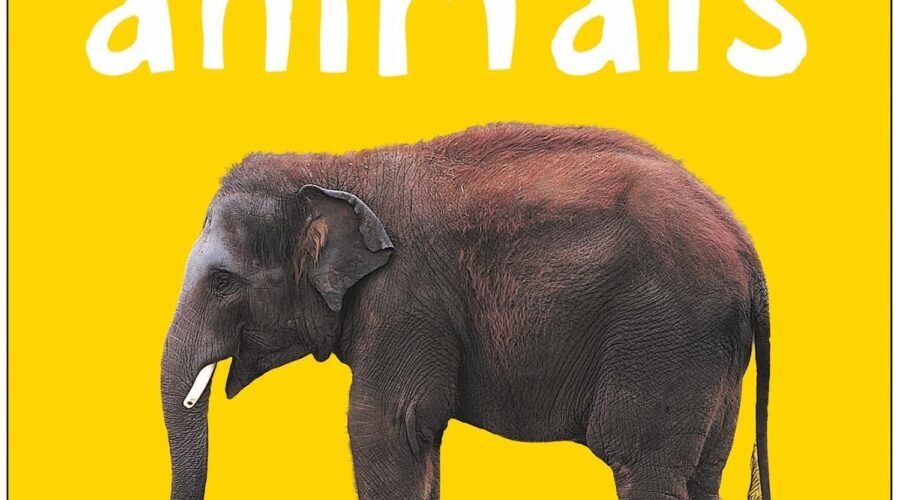 Adorable Adventures in Bright Baby Animals