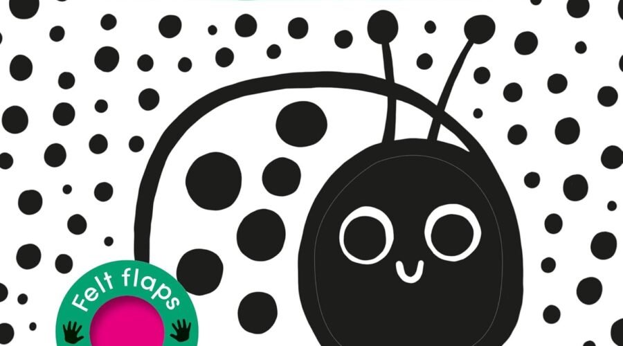 Adorable Beginnings: A Review of Baby's First Cloth Book - Cuddly Ladybug