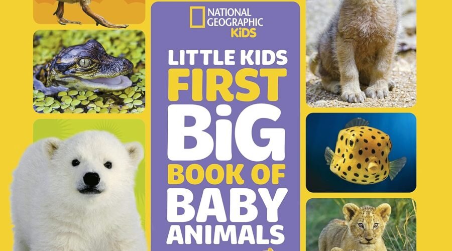 Adorable Discoveries: A Review of National Geographic's Little Kids First Big Book of Baby Animals