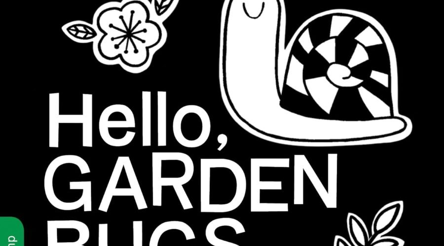 Budding Readers: Exploring Color in Hello, Garden Bugs!