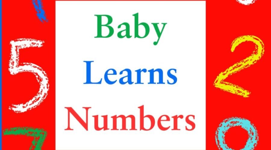 Counting Cuteness: A Review of Baby Learns Numbers