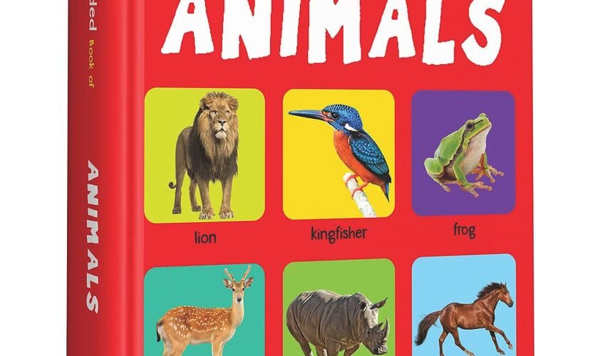 Discovering the Wild: A Snuggly Adventure with My First Padded Book of Animals