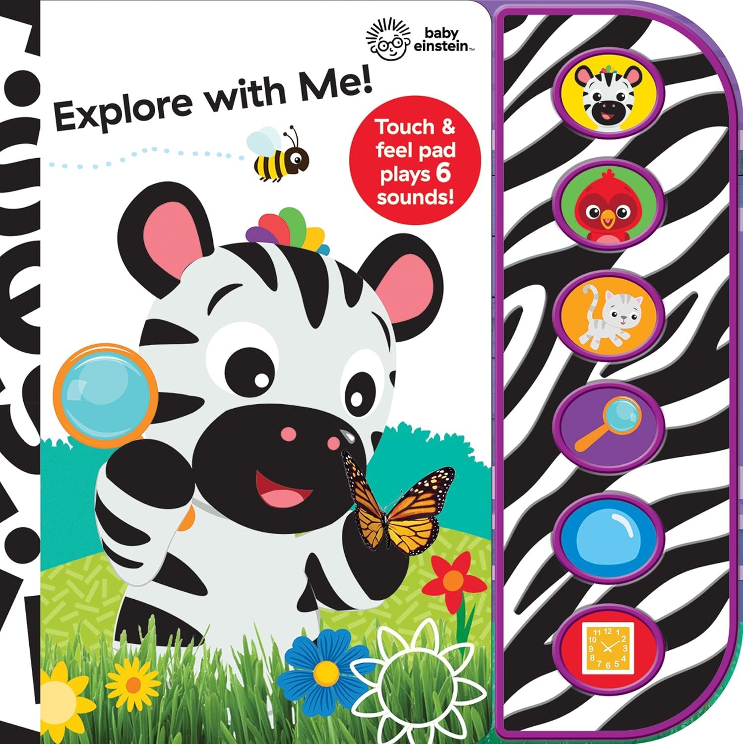 Read more about the article Exploring Textures: A Delightful Journey with Baby Einstein
