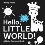 Exploring a Monochrome Wonderland: A Review of Hello, Little World