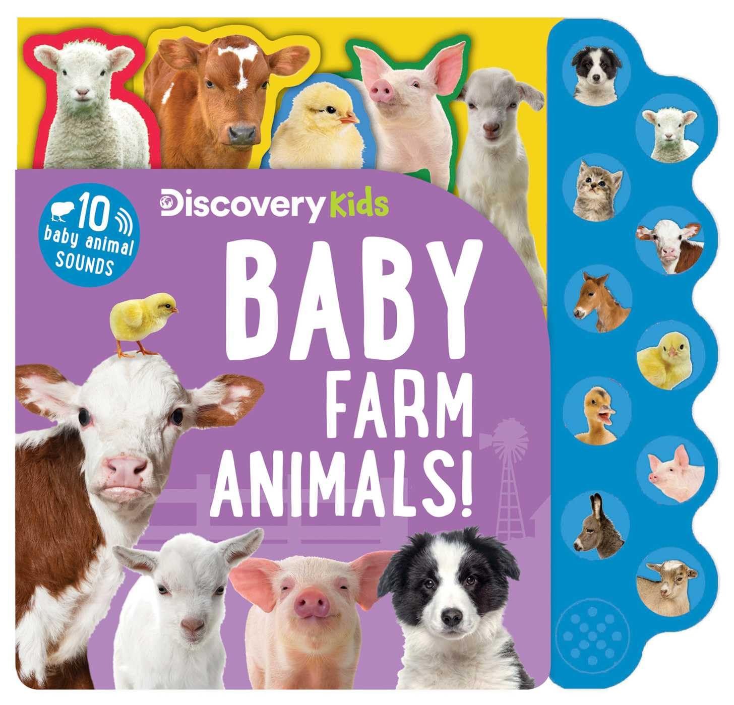 Read more about the article Farmyard Fun: Exploring Baby Animals with Discovery Kids!