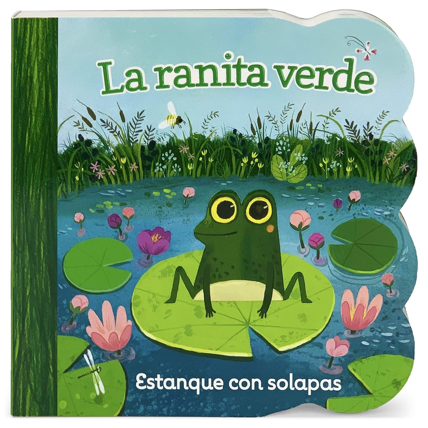 You are currently viewing Jumping into Fun: A Review of La ranita verde