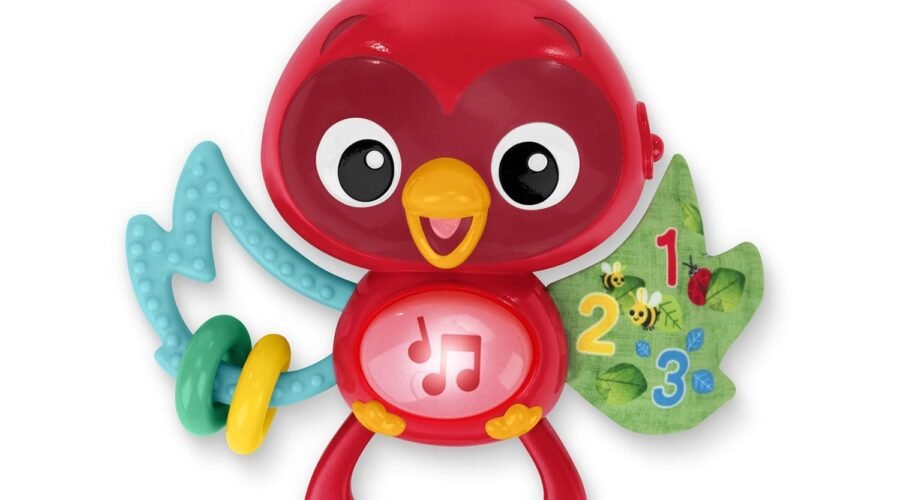Soar into Joy: A Review of Baby Einstein's Roxy's Bright Flight Baby Toy