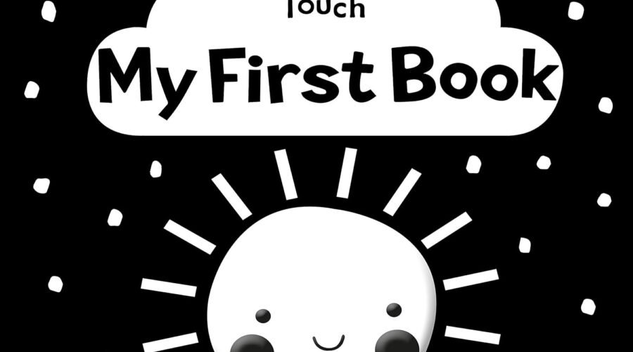 Tummy Time Adventure: A Review of Baby Touch: My First Book