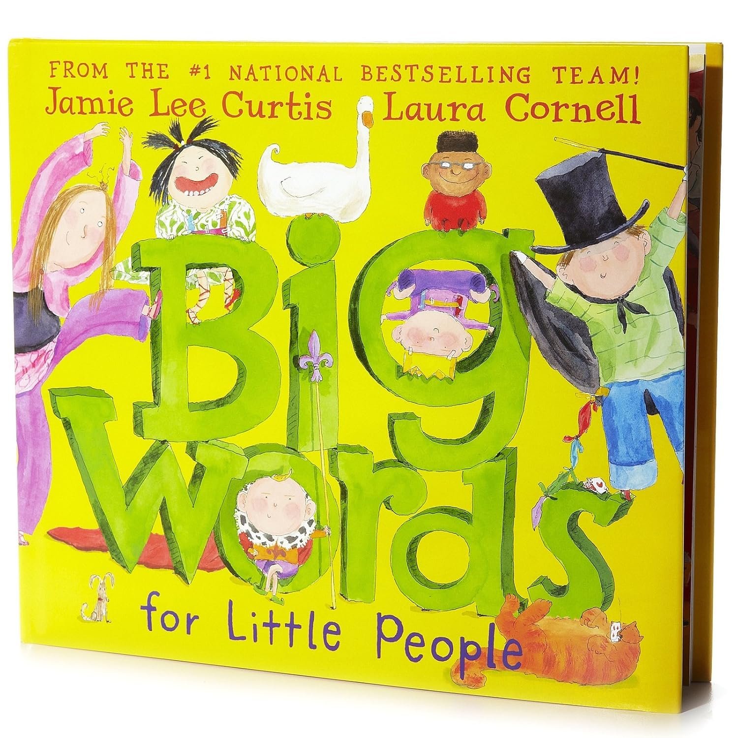 Read more about the article Unlocking Big Ideas: A Journey Through ‘Big Words for Little People’