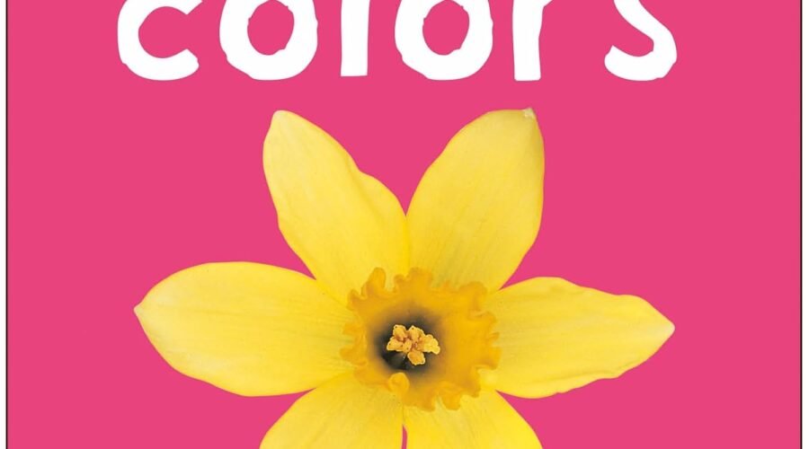 Vibrant Adventures in Learning: A Review of Colors (Bright Baby)
