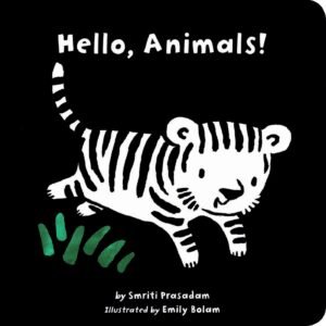 Read more about the article Walking with Whiskers: A Review of Hello, Animals!