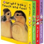 Whiskers, Wags, and Farm Friends: A Delightful Dive into the Bright Baby Touch & Feel Boxed Set