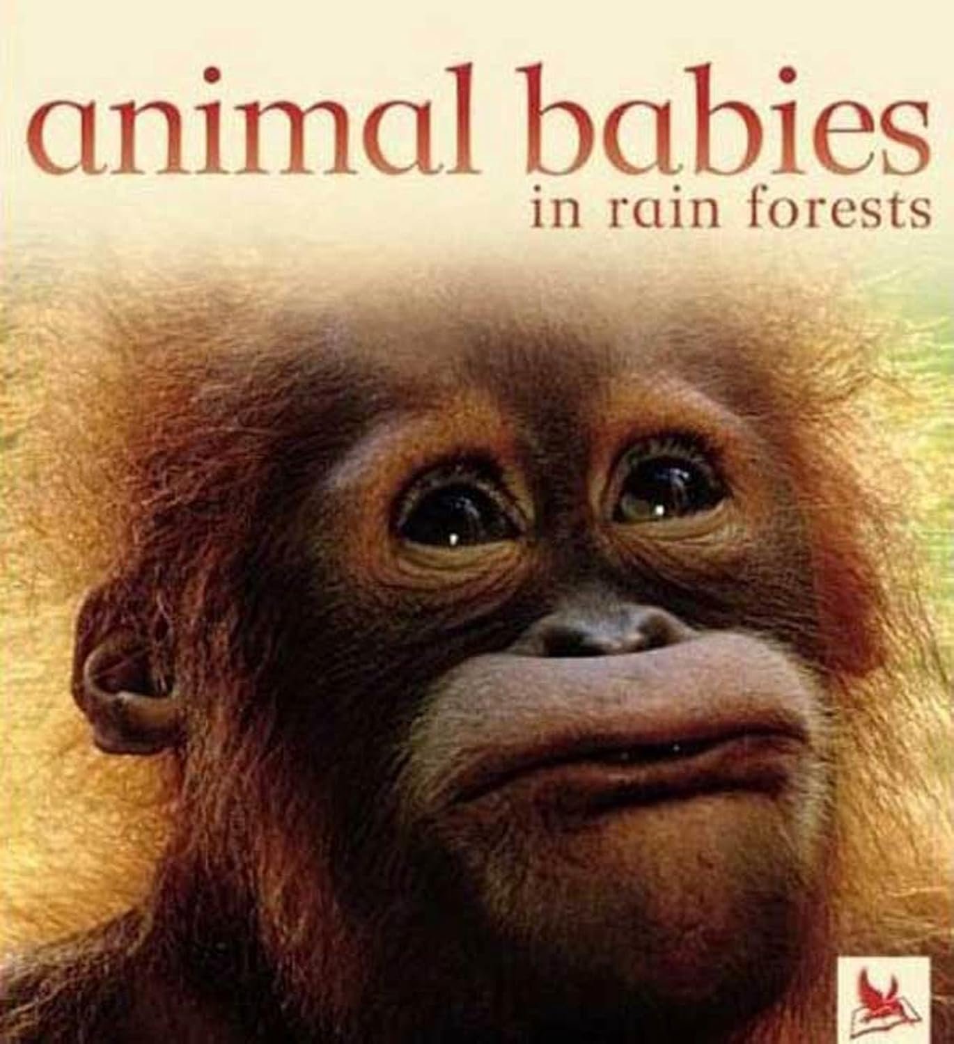 You are currently viewing Whiskers and Wobbles: A Dive into Animal Babies in Forests