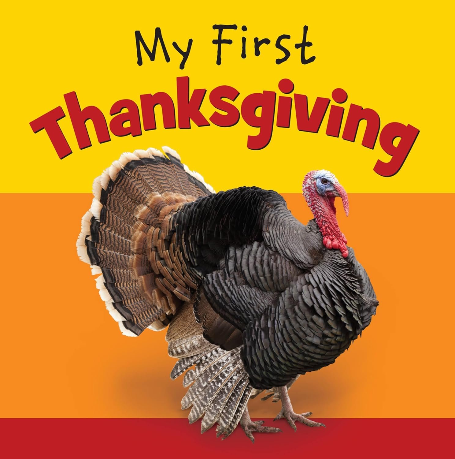 You are currently viewing A Heartwarming Start to Thanksgiving Traditions