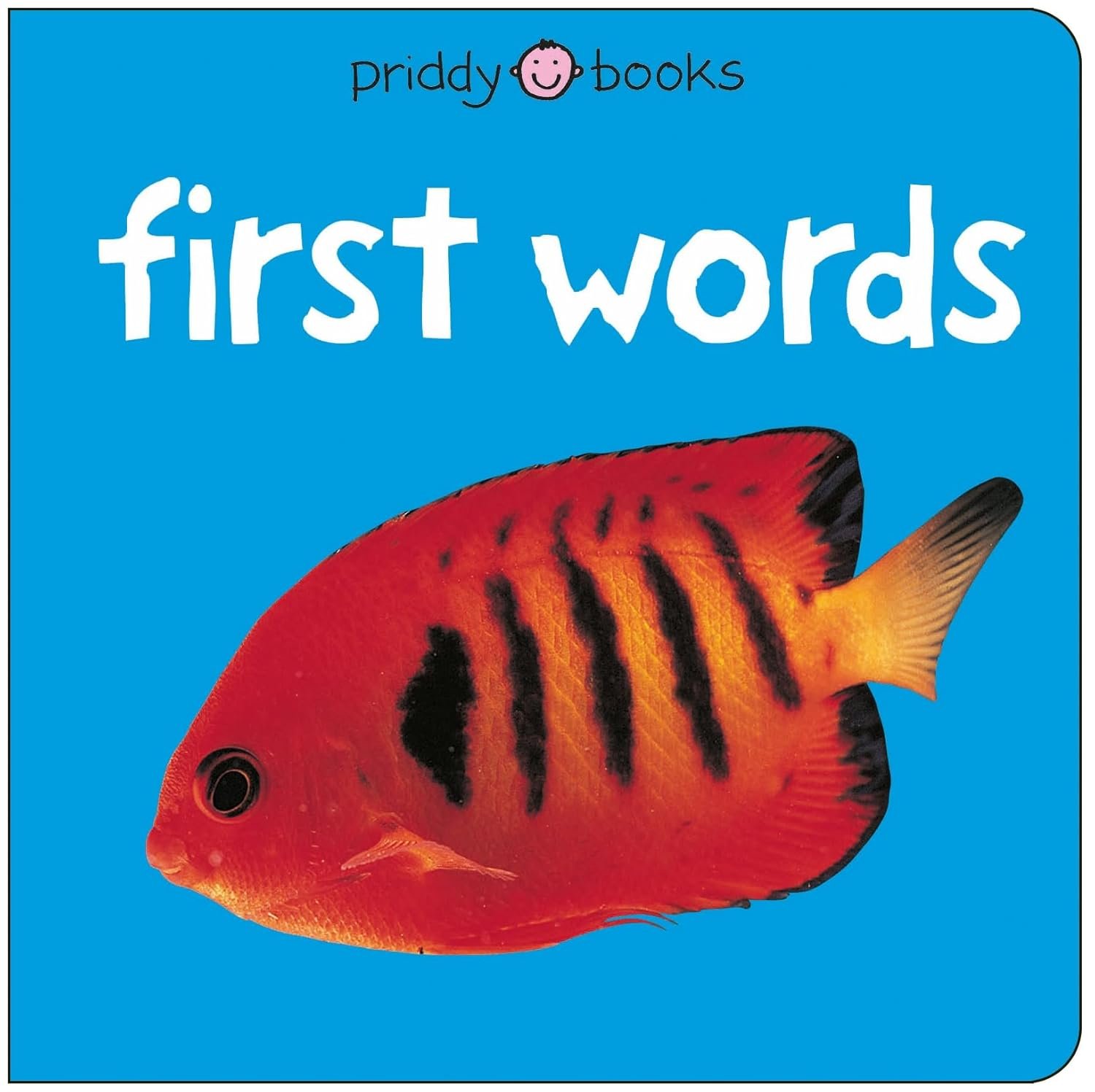 Read more about the article A Sweet Start: Discovering First Words with Bright Baby