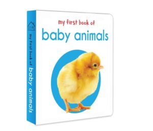 Read more about the article Adorable Adventures in Baby Animal Land