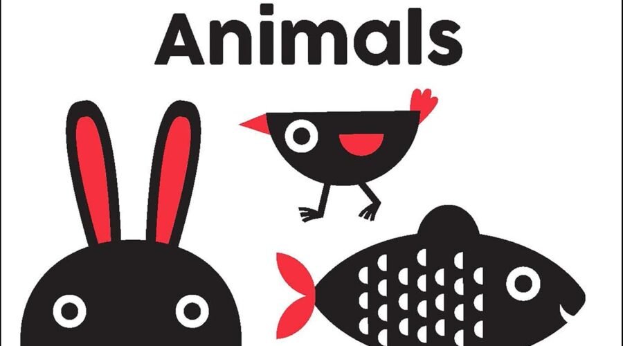 Adorable Discoveries: Exploring "Animals: A Baby Montessori Book"