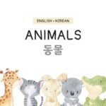 Adventures in Animal Land: A Bilingual Journey for Young Readers