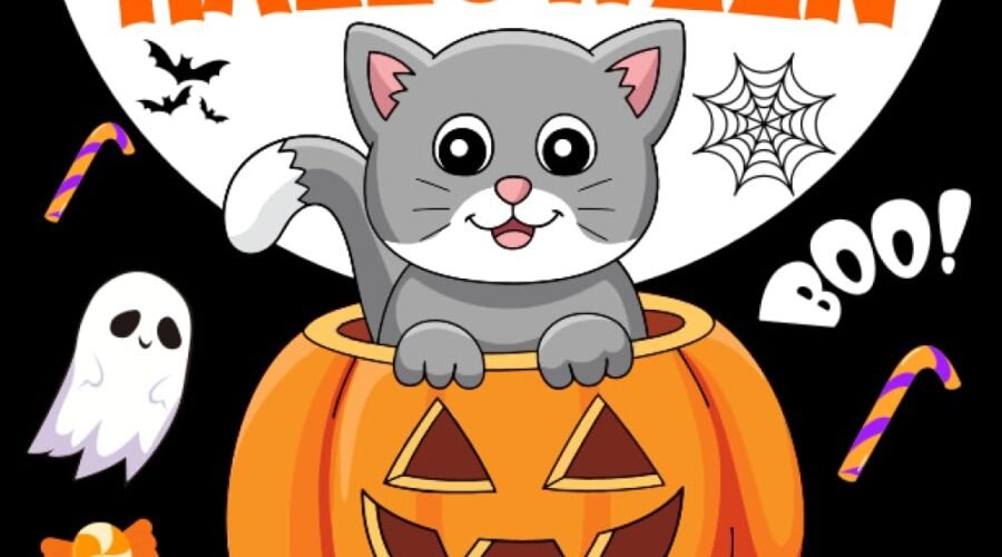 Boo-tiful Beginnings: A Review of My First Halloween High Contrast Baby Book