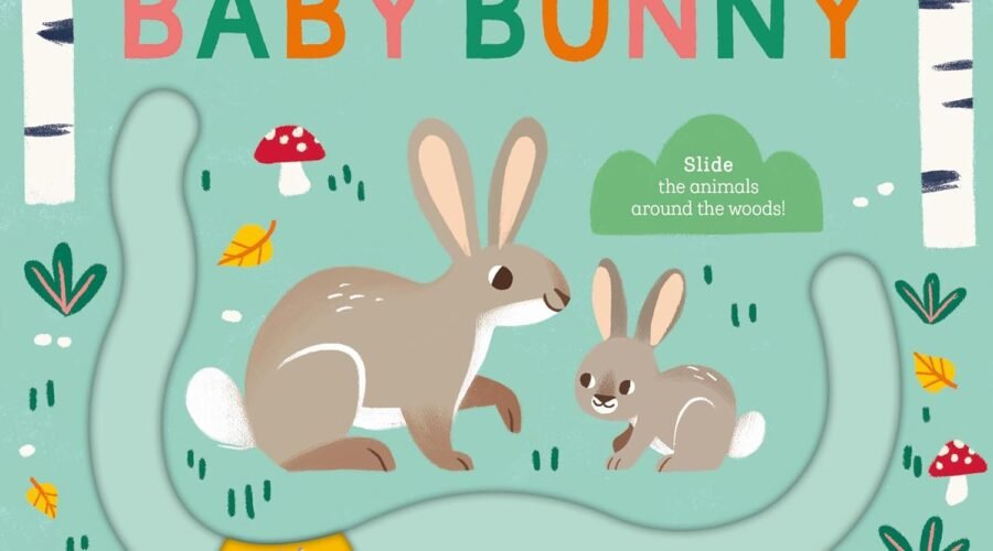 Bunny Adventures Await: A Heartwarming Review of Let's Go Home, Baby Bunny
