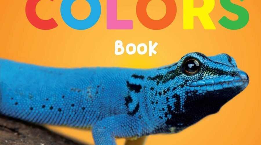 Exploring a Rainbow of Cuteness: A Journey Through the Baby Animals First Colors Book