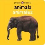Exploring the Colorful World of Animals: A Bilingual Adventure