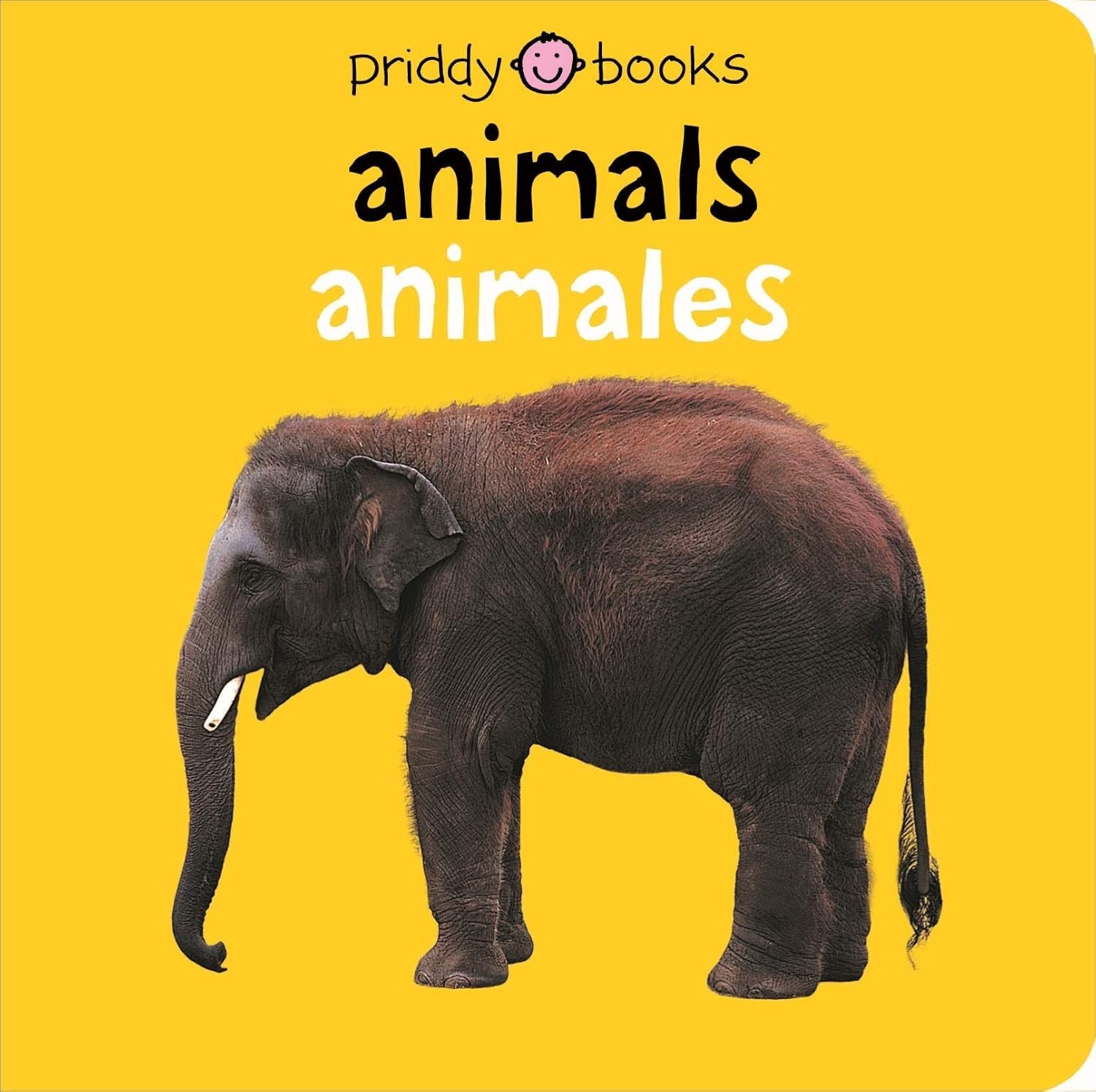 You are currently viewing Exploring the Colorful World of Animals: A Bilingual Adventure