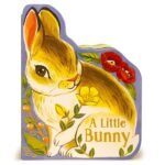 Hopping into Reading: A Review of A Little Bunny